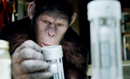 Rise of the Planet of the Apes Rise of the Planet of the Apes